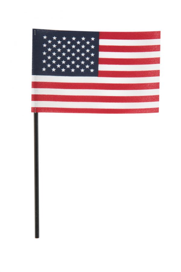 4" x 6" U.S. POLYCOTTON FLAG BLACK PLASTIC DOWEL 3/16" x 10" NO TIP